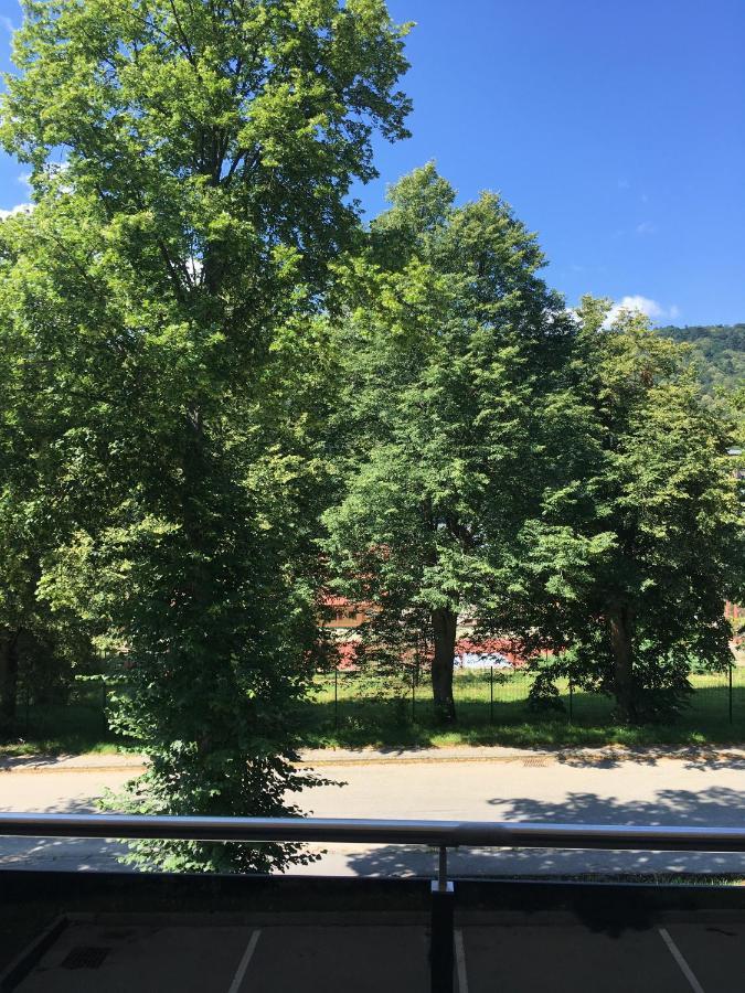 Rezidencia AMÉLIA - Apartmán SOFIA Bardejovske Kupele Exterior foto
